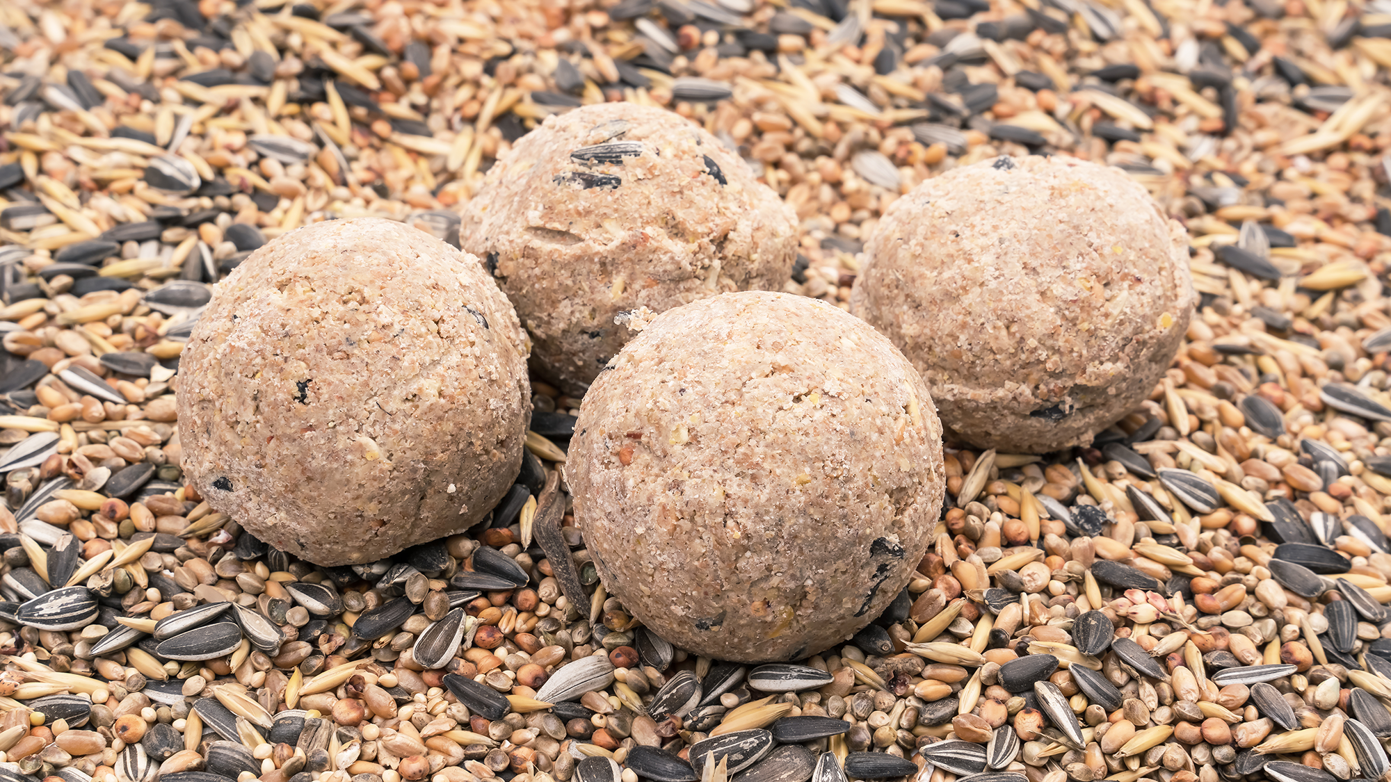 Fat balls