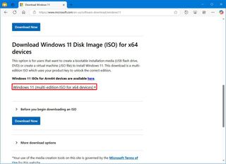 Windows 11 ISO download option