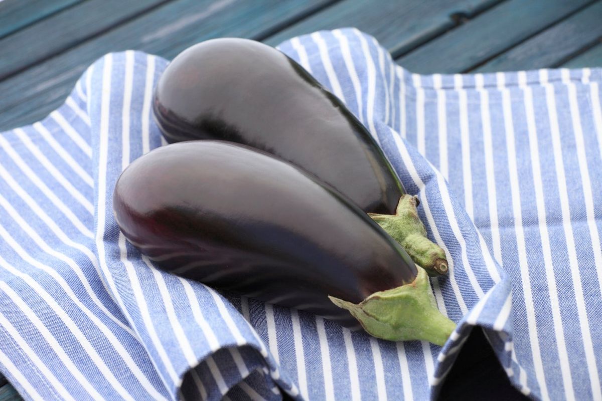 What Is A Nadia Eggplant How To Grow Nadia Eggplants In Gardens