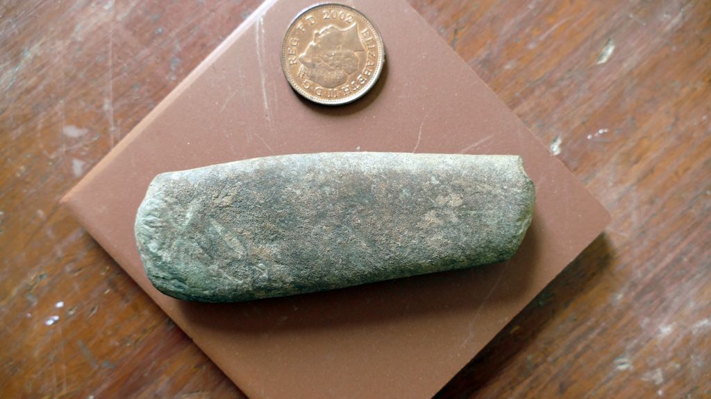 Rabbits dig up 9,000yearold artifacts on 'Dream Island' Live Science