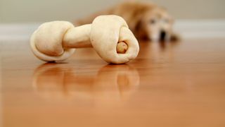A dog lying down looking at a rawhide bone