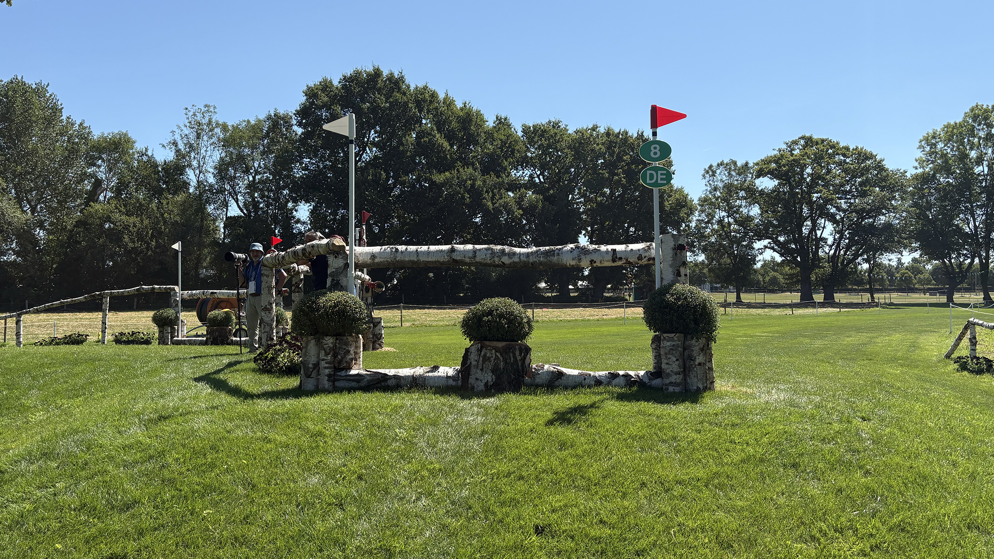 A silver birch rail out of a hollow on the Aachen eventing World Championships cross-country course