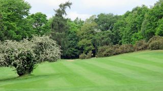 Puttenham Golf Club - Hole 17