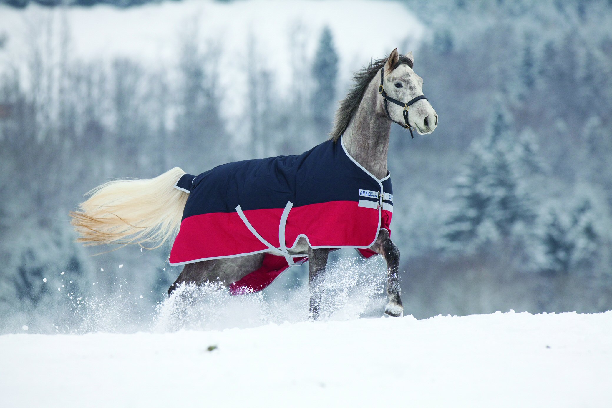 Horseware visual