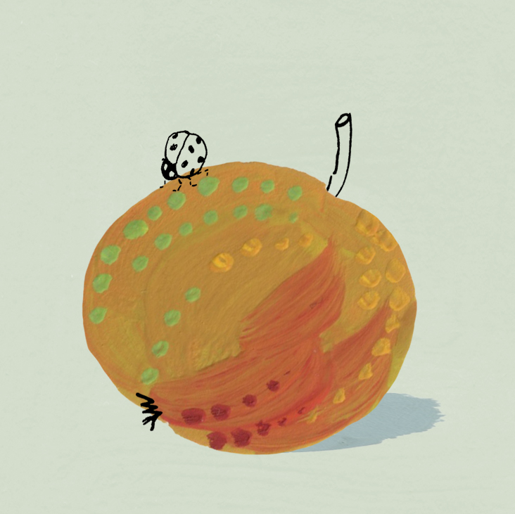 Colour illustration of a heritage apple