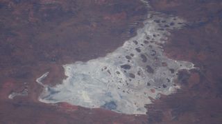 An aerial photo of Lake Mackay when it is dry and covered in white salts