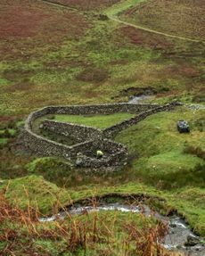 The restoration of this historic sheep pen is part of the Our Upland Commons Project. Credit: Rob Fraser