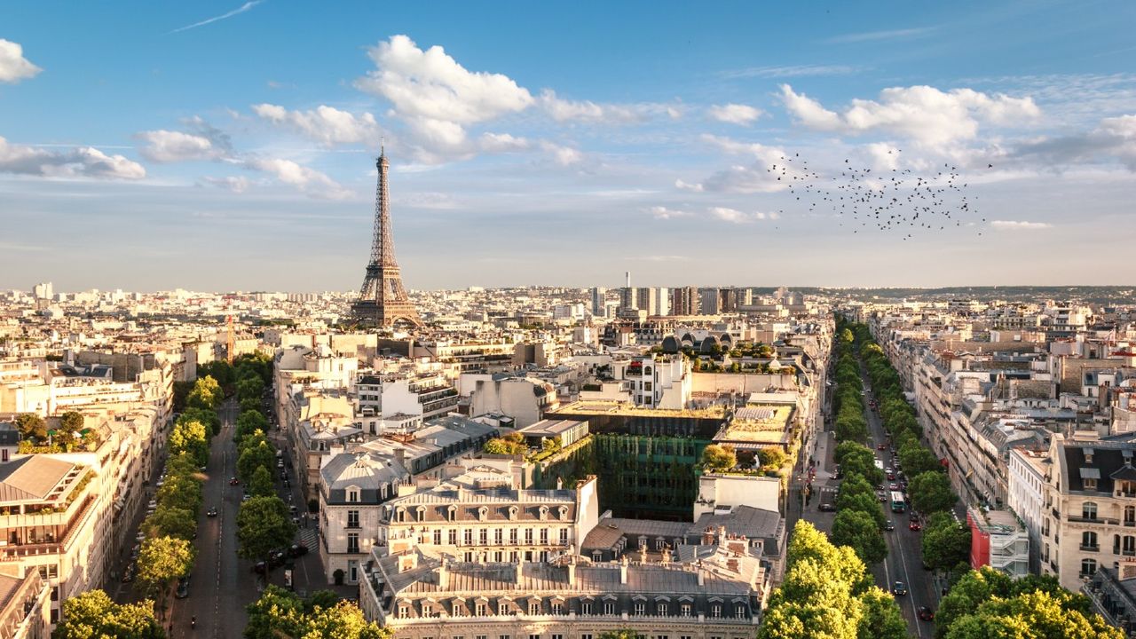 A view of Paris from above with Eiffel Tower in between trees 