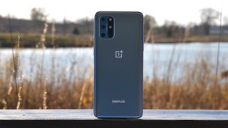 OnePlus 8T with a pond in the background