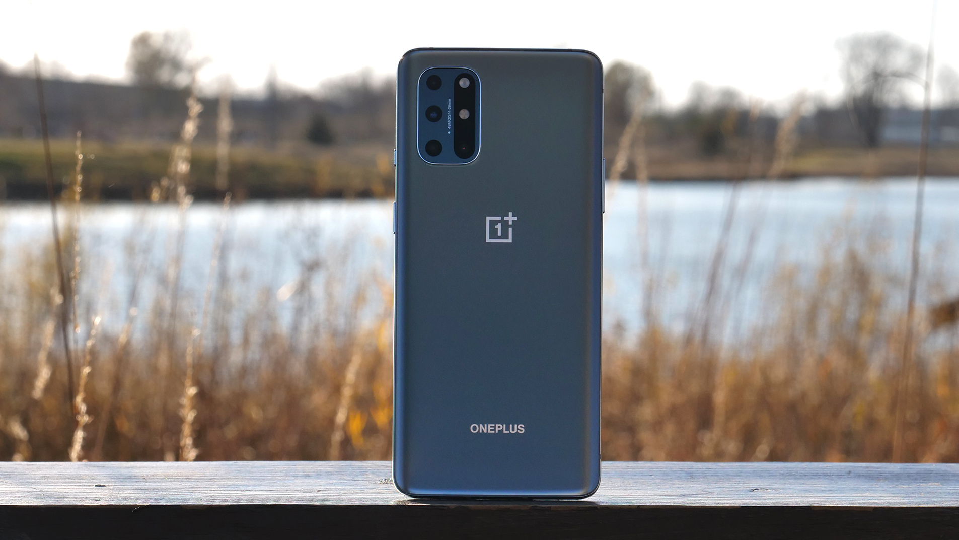 OnePlus 8T with a pond in the background