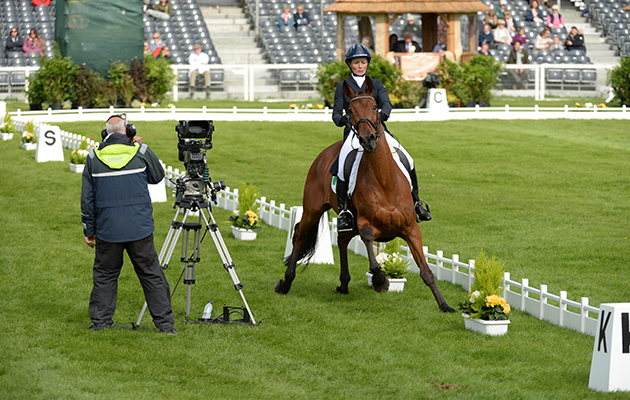 Lights, camera, action: Sarah Ennis’ Horseware Stellor Rebound doesn’t seem too sure about the set up