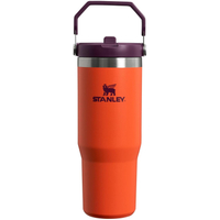Stanley IceFlow Flip Straw Tumbler with Handle