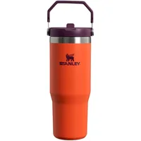 Stanley IceFlow Flip Straw Tumbler with Handle