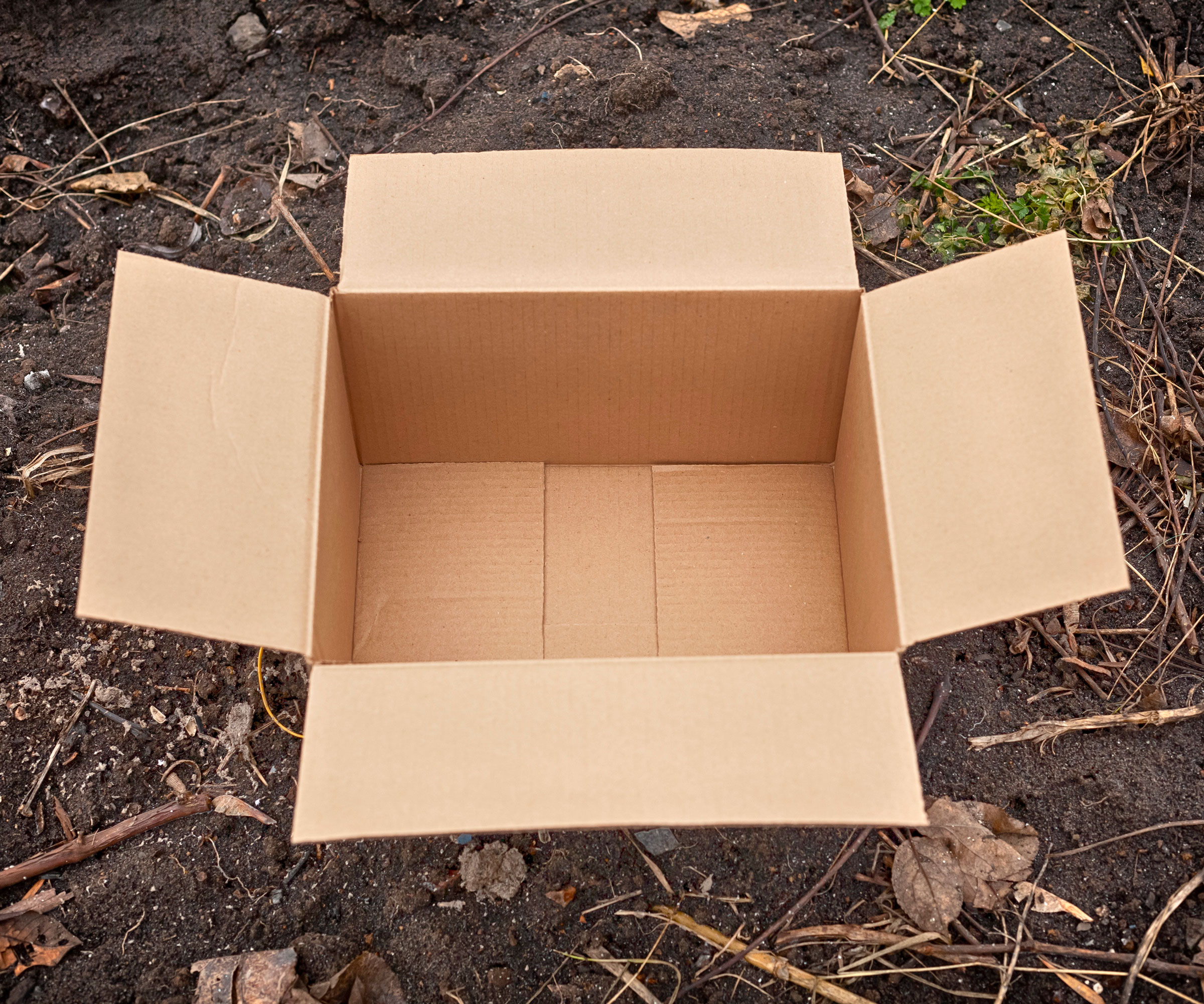 cardboard box sitting on garden bed in winter