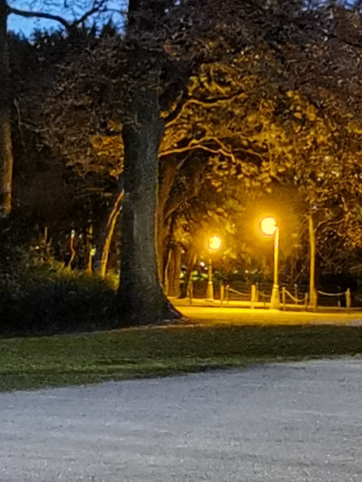 Nachtmodus