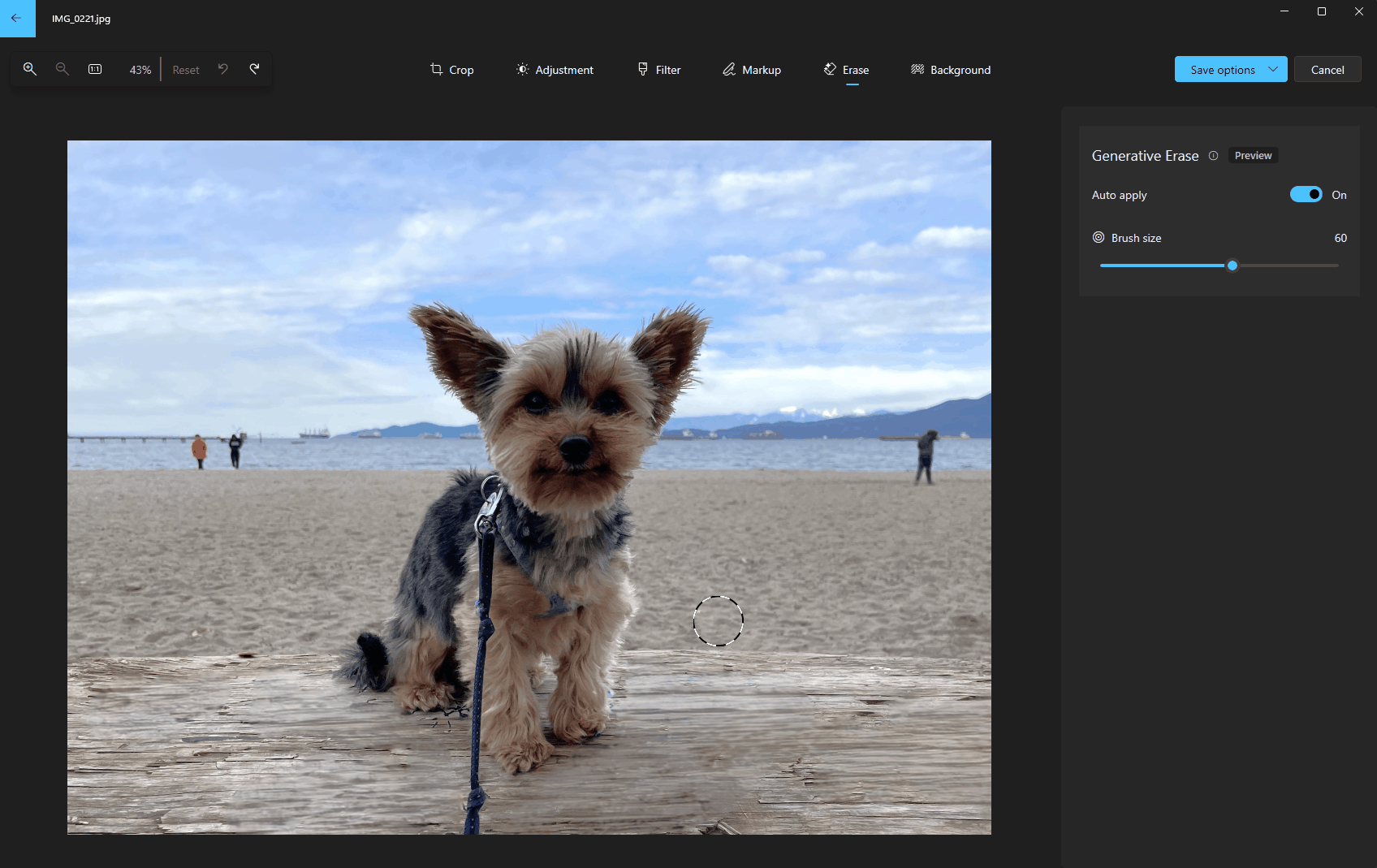 GIF animation of new Generative erase function for Windows Photos being used to erase the lead from a photo of a dog at a beach.