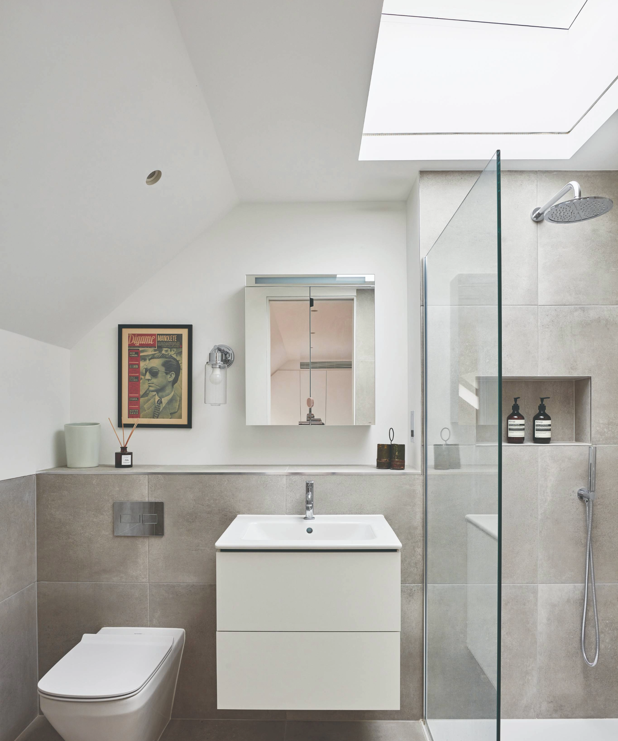 Toilet and shower room with rooflight