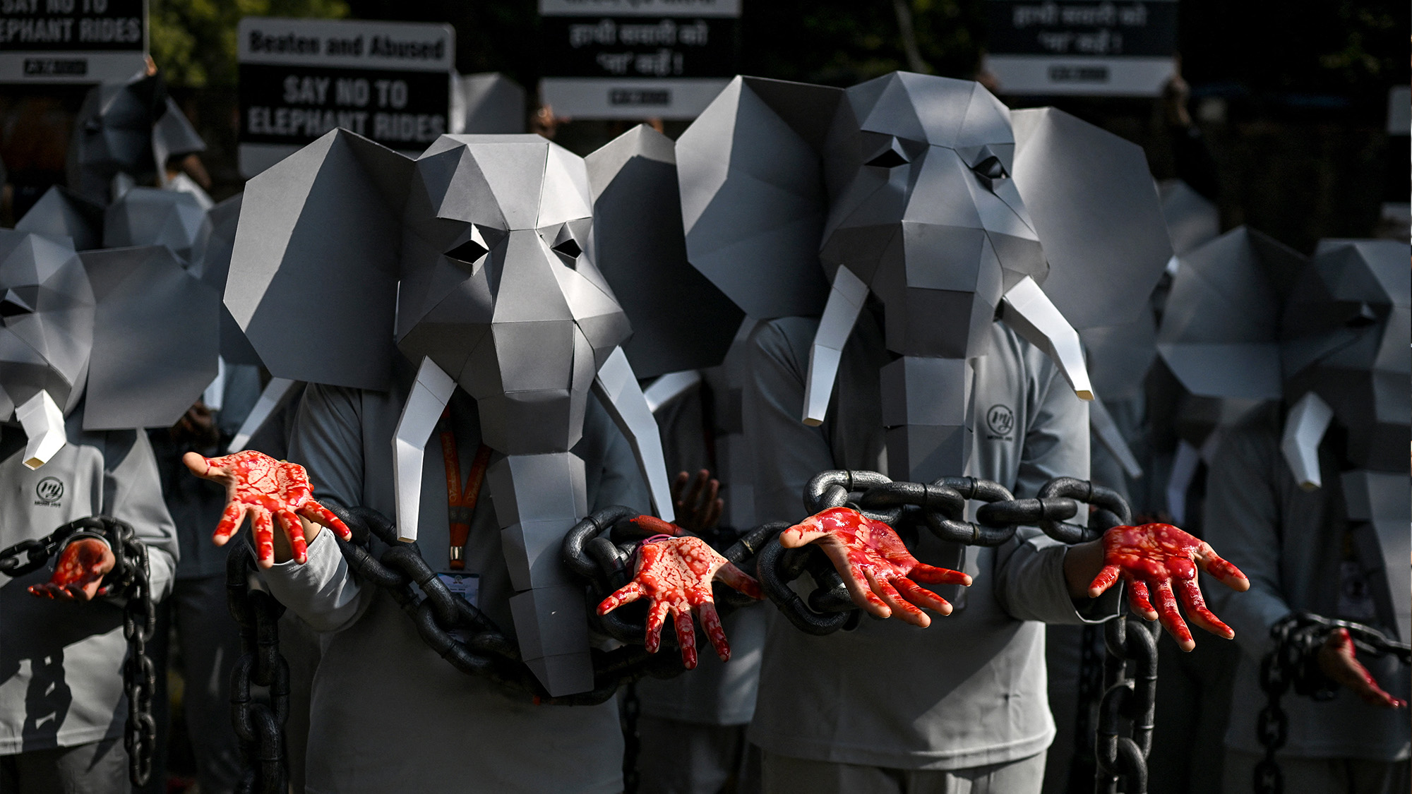 PETA supporters dressed as chained elephants stage a protest against elephant rides and abuse of animals in New Delhi, India