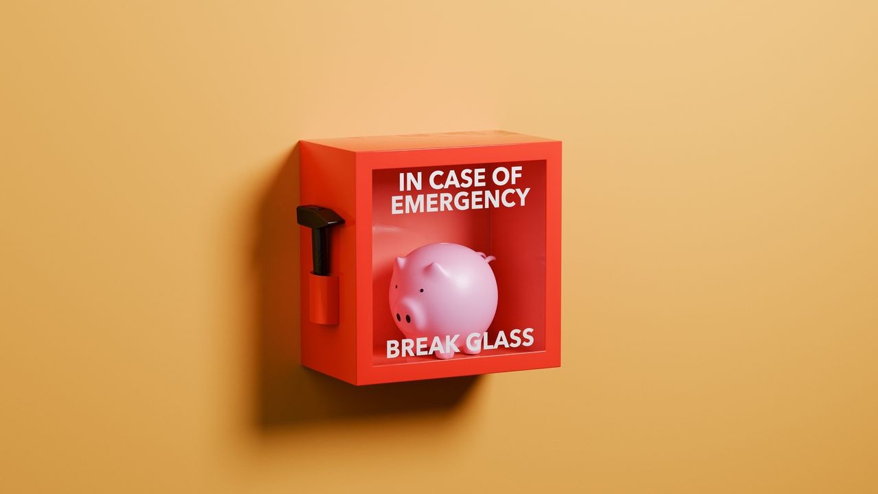 A piggy bank inside a red box that says &quot;in case of emergency break glass.&quot;