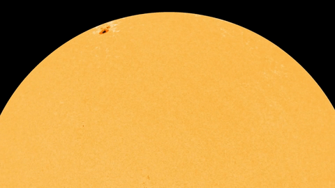 sunspots rotating into view across the disk of the sun.
