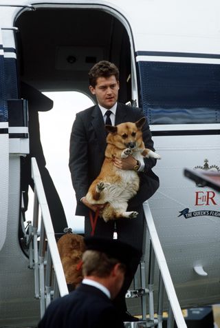 The Corgis were known to be flown by private jet
