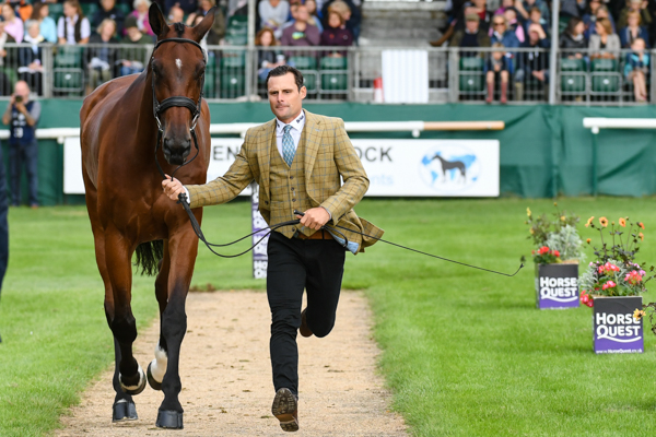 ZAGREB_LRBHT_NP18_72602.jpg