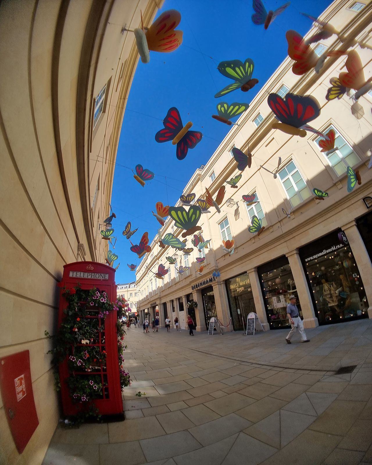 Moment Fisheye Lens Review