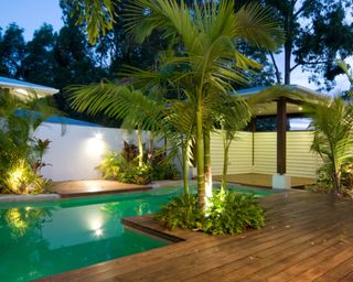 A warm wood deck with pool and tropical planting