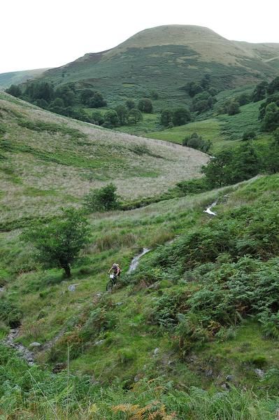 There was plenty of rolling green terrain