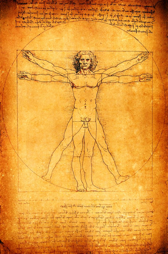 Vitruvian man anatomy hi-res stock photography and images - Alamy