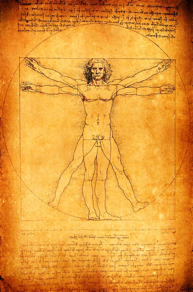 Leonardo da Vinci’s Vitruvian Man, drawn c. 1490. Credit: Janaka Dharmasena | Shutterstock