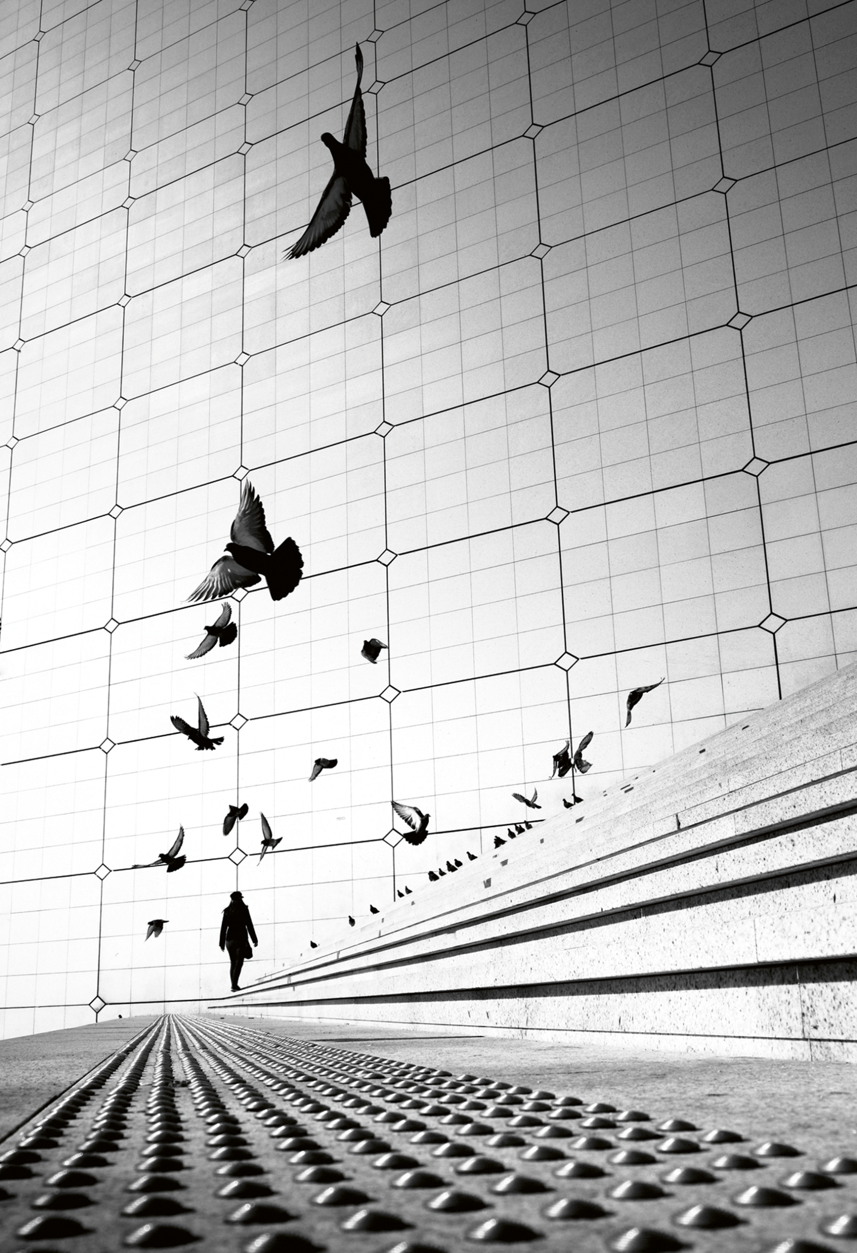 Pigeons take flight in front of an enormous wall covered in a grid of tiles, while a lone figure walks towards it along a wide stone walkway lined with steps.