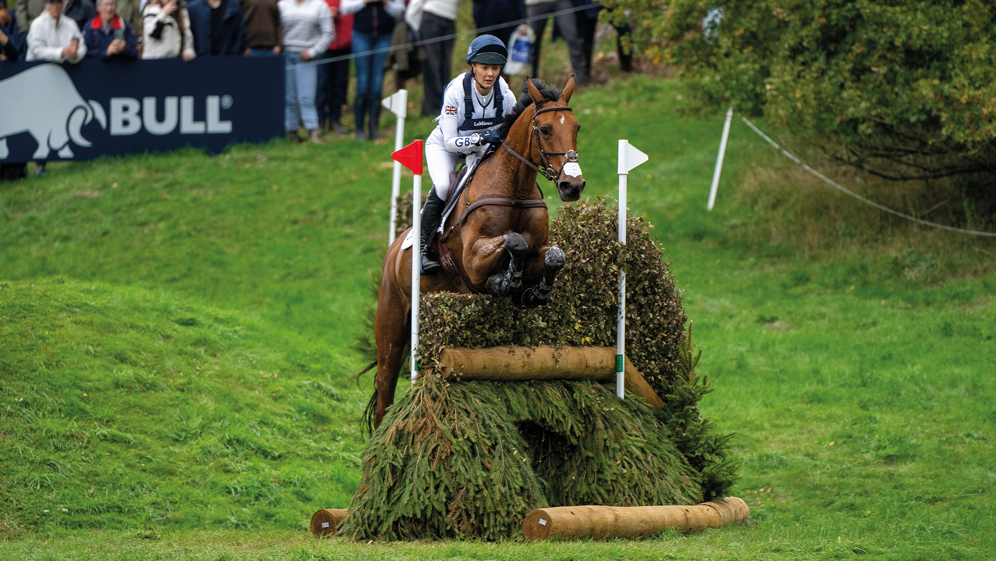 Yasmin Ingham jumping bay horse over skinny cross-country jump in front of crowd
