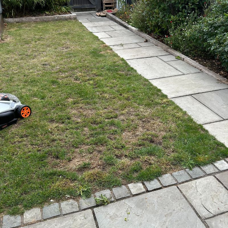 Vonhaus Cordless Lawn Mower 40V - after results of cutting my lawn