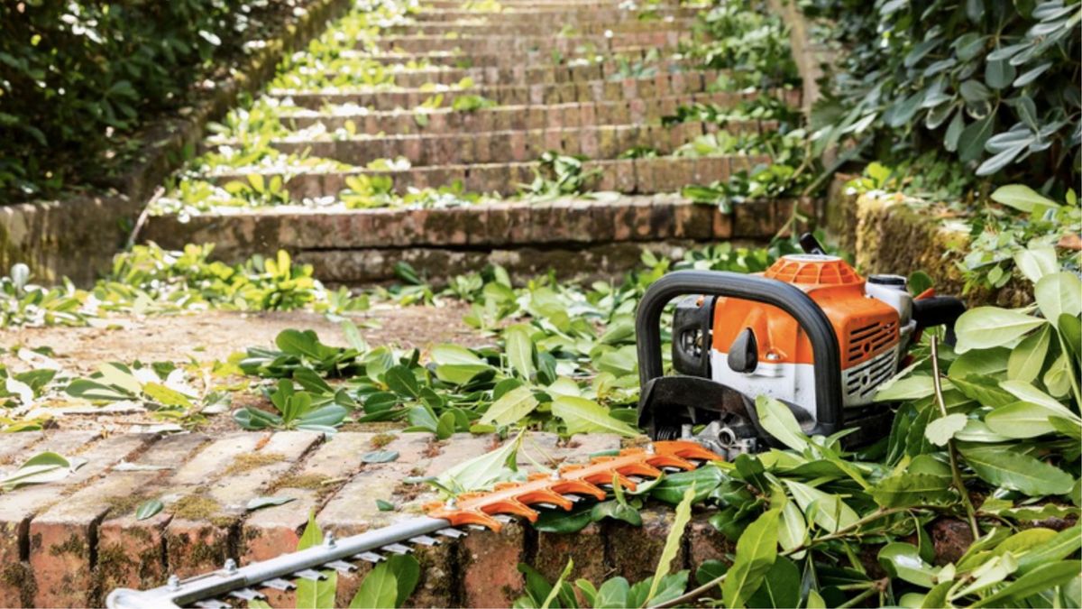 Image of hedge trimmer on steps