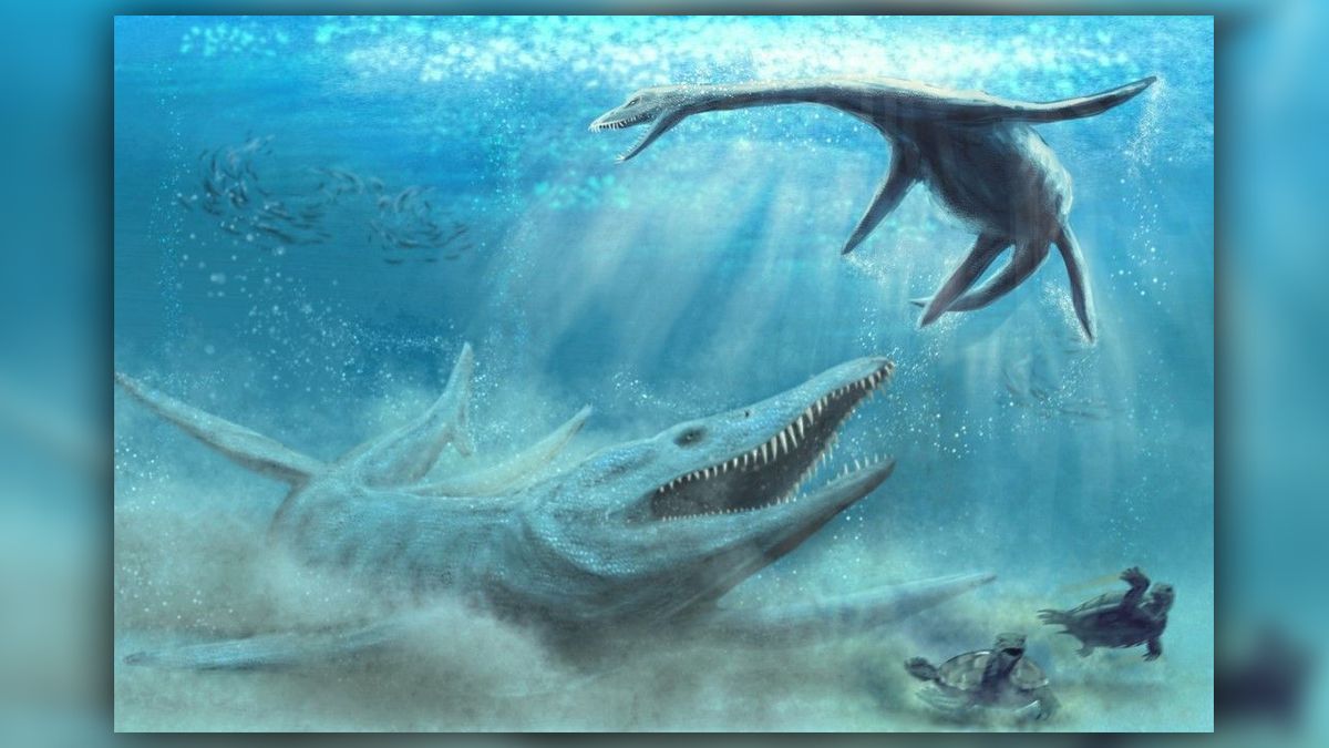 Remains of of Massive Jurassic 'Sea Monster' Found in a Polish Cornfield