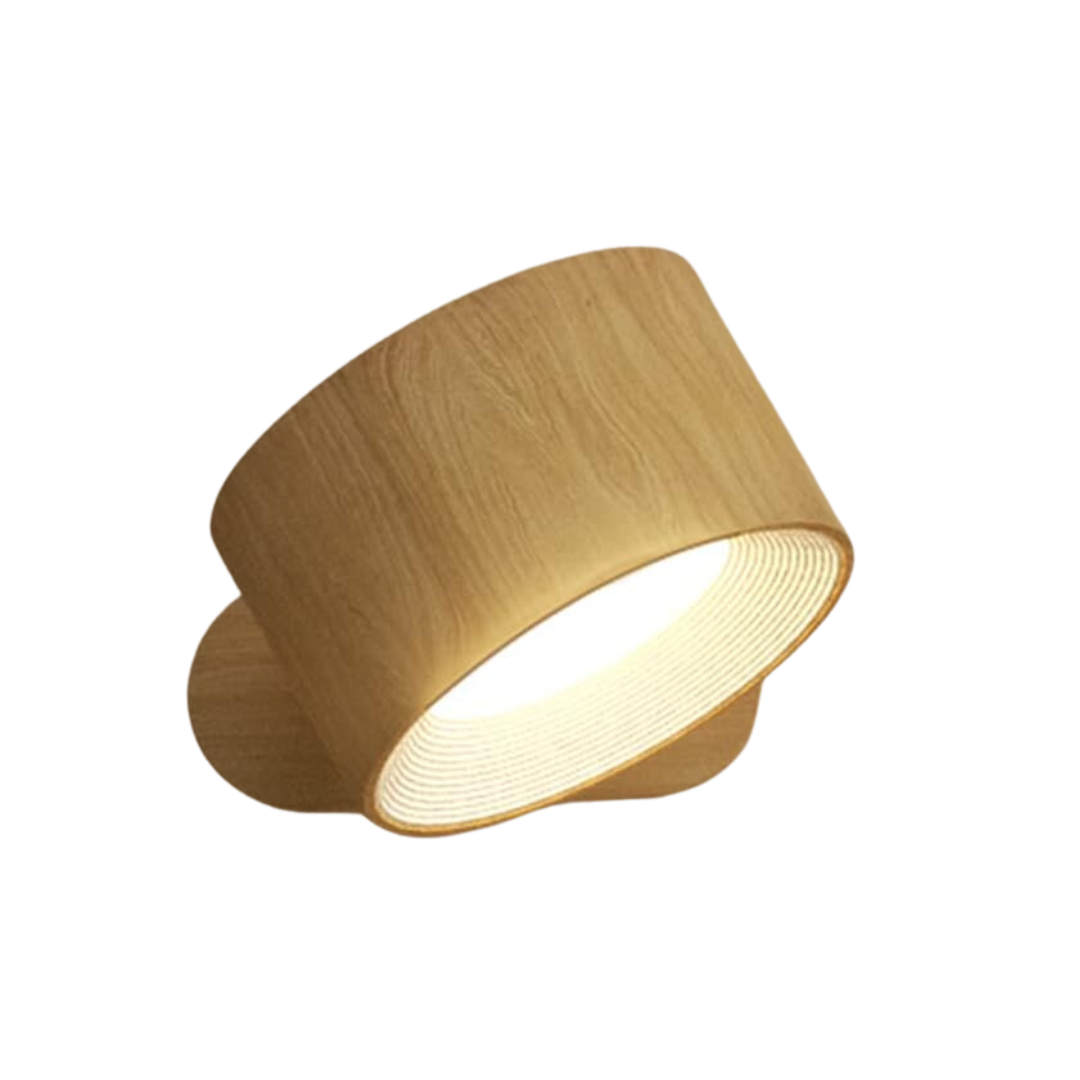 wall sconce spotlight