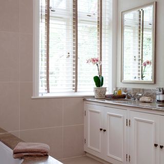 bathroom with windows and mirror