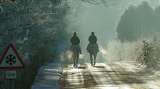 alamy-early-morning-alamy-hacking-M3RXX2_245498161_35695331_364657021_628282611.jpg