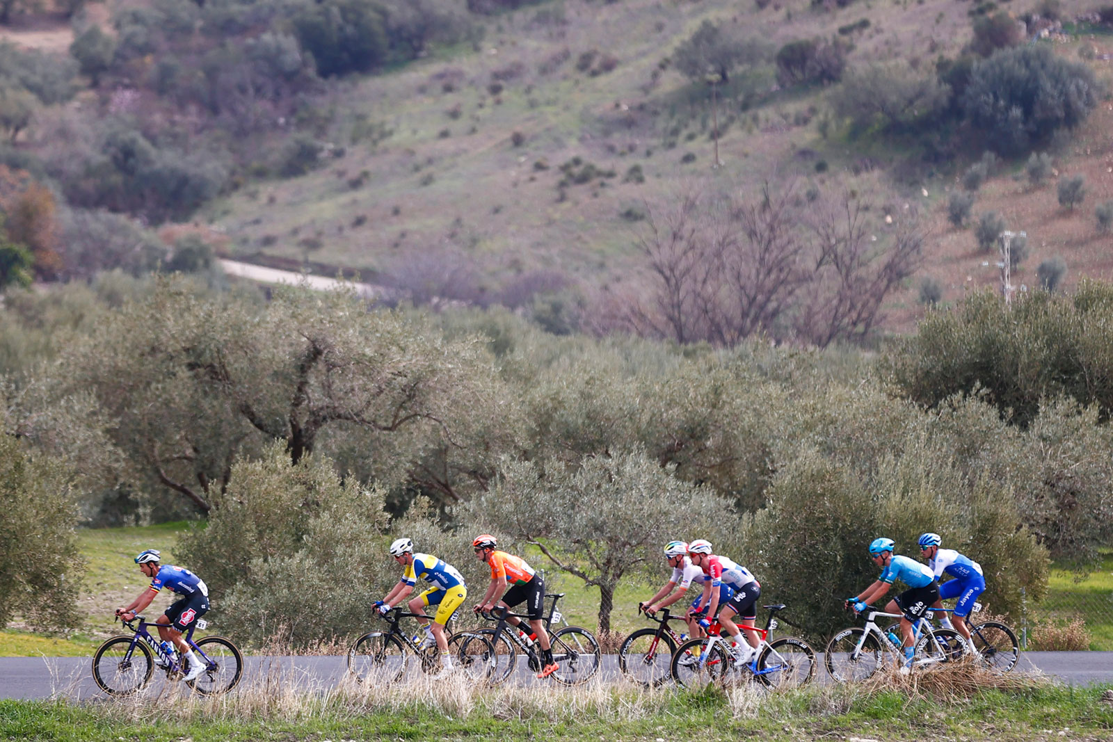 Vuelta a Andalucia Ruta Ciclista Del Sol 2023 - 69th Edition - 5th stage Otura - Alhaurin de la Torre 184,3 km - 19/02/2023 - Scenery - photo Luis Angel Gomez/SprintCyclingAgency©2023