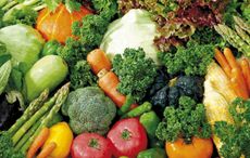1-MAIN-vegetables1.jpg