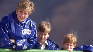 The Princess of Wales takes her sons William and Harry out on the boat 'Maid of the Mist' at Niagara Falls, October 1991