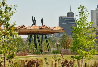 timber canopy by studio gang in tom lee park