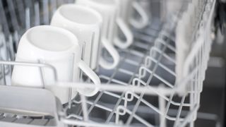Mugs lined up in a dishwasher upper basket