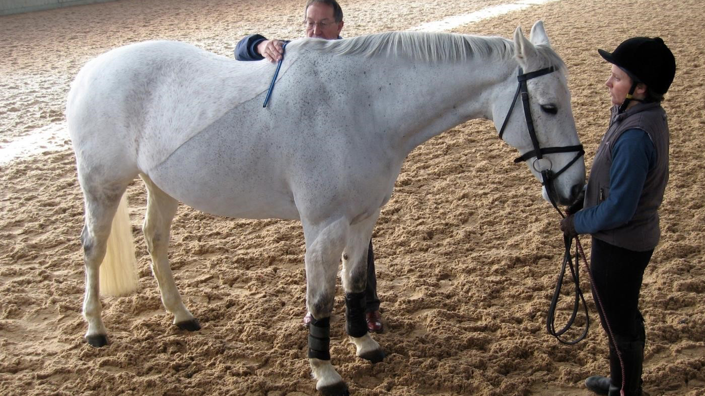 Saddle-fitting-Feature-Image