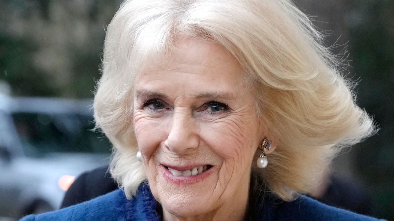 Queen Camilla&#039;s electric blue lace dress wows on 7th November. Seen here she arrives for a visit to Boston Manor House in February 