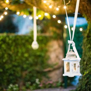ribbon lantern with tree light