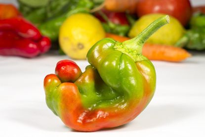 ugly produce