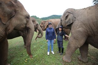 Greeting elephants in episode 1.