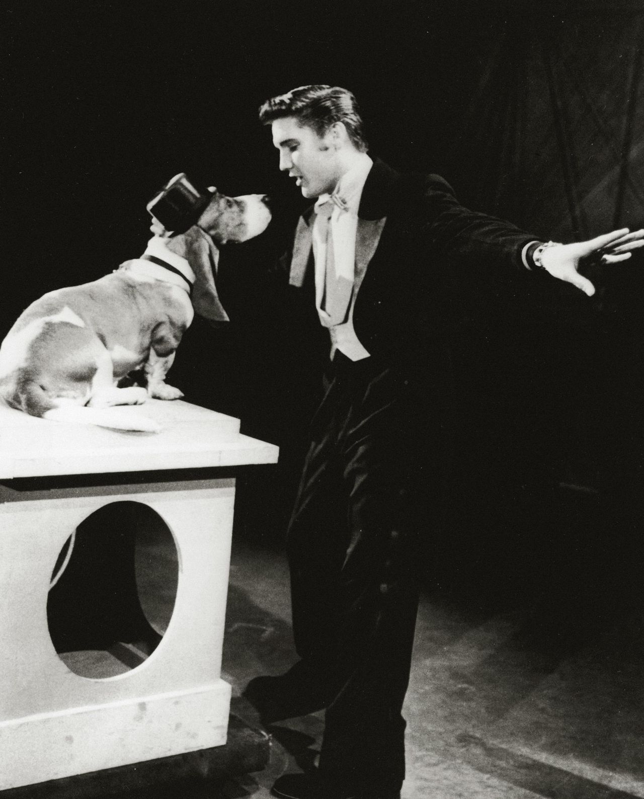 Elvis Prestley serenading a basset hound
